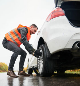 Servicio de Reparacion InSitu